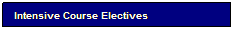 Text Box: Intensive Course Electives