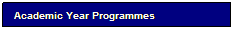 Text Box: Academic Year Programmes
